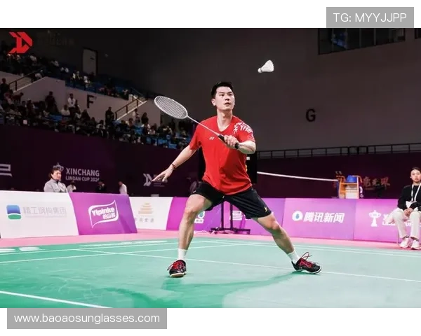 武汉羽毛球队的精神之旅：探索羽毛球背后的故事与激情