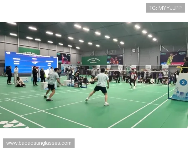 武汉羽毛球队的蜕变与成长：一段羽毛球的奋斗与荣耀之旅