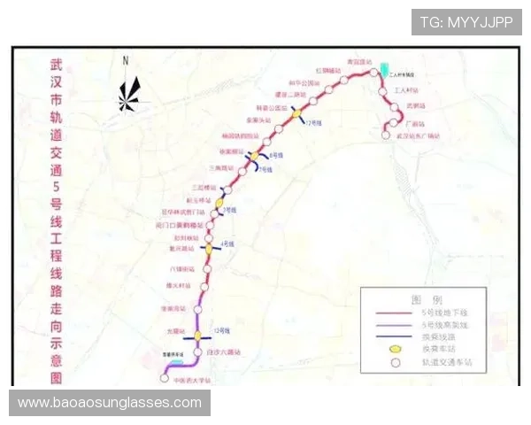 武汉羽毛球队近期状态分析与未来发展展望