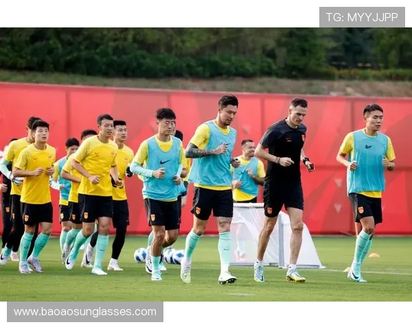 武汉足球队在世界杯预选赛中的个人能力展现与战术分析