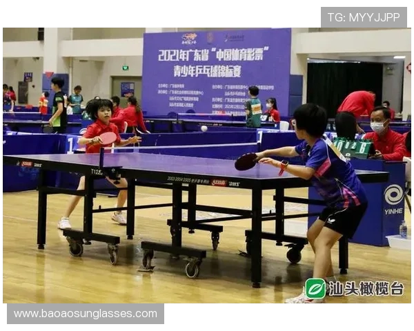 全国锦标赛特别报道：北京乒乓球队拼搏精神与辉煌成就的背后故事